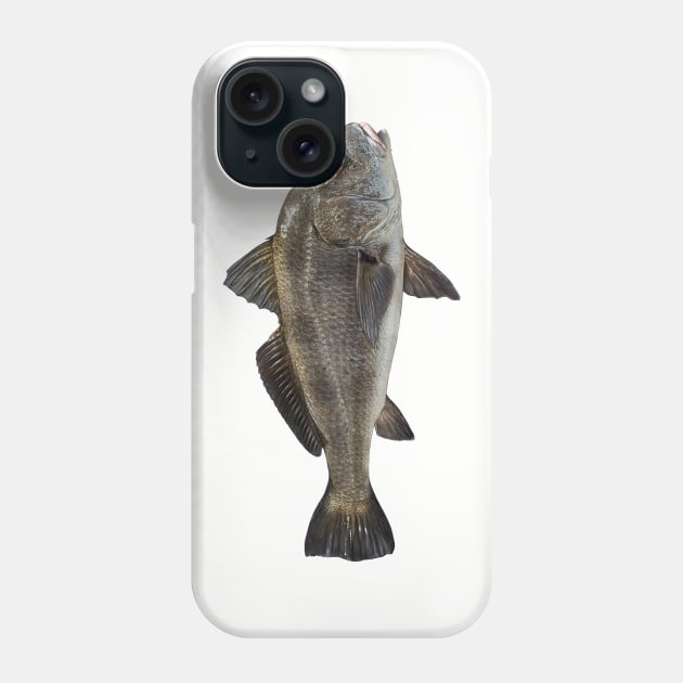 Black Drum Phone Case by fishindecals