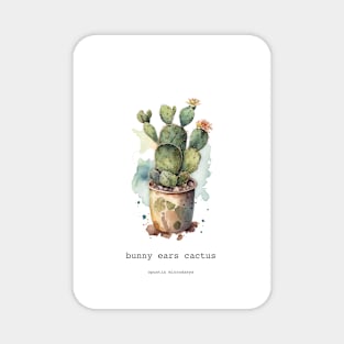 Bunny Ears Cactus Magnet