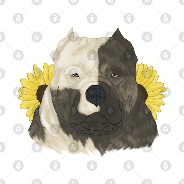 Brindle Pied American Bully with Sunflowers by TrapperWeasel