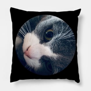 Playful Cat / Pictures of My Life Pillow