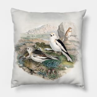 The birds of Great Britain (1873) Pillow