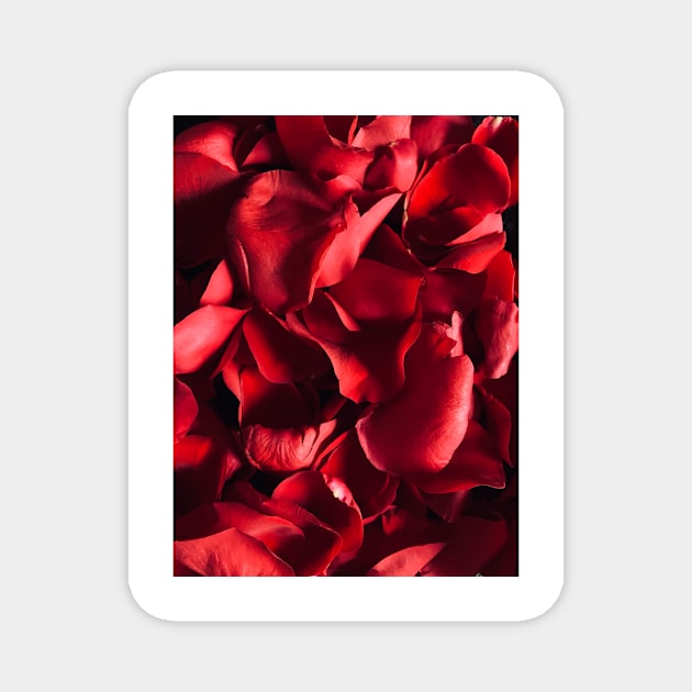 Red Rose Petals Magnet by NewburyBoutique