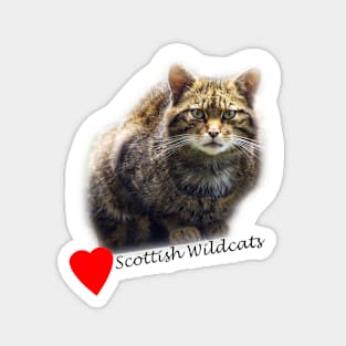 Love Scottish Wildcats! Magnet