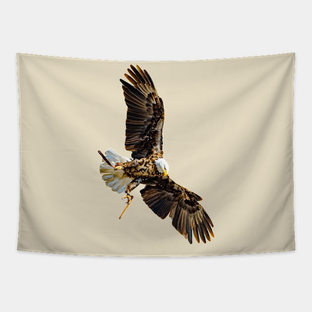 In coming Bald Eagle Tapestry by dalyndigaital2@gmail.com