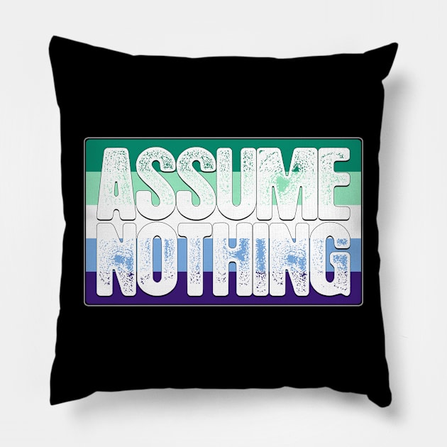 Assume Nothing Gay Male Pride Flag Pillow by wheedesign