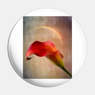 Calla lily Beauty Still life Pin