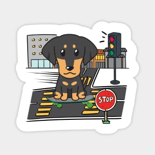 Funny dachshund is on a skateboard Magnet