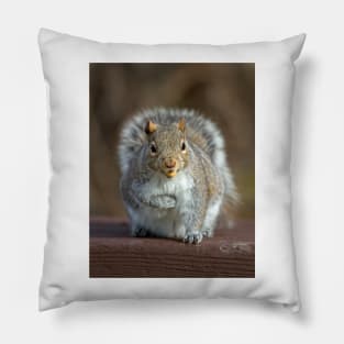 Stored Nuts - Grey Squirrel Pillow