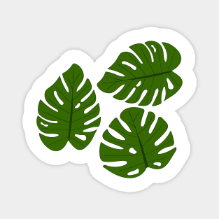 Monstera leaves. Magnet