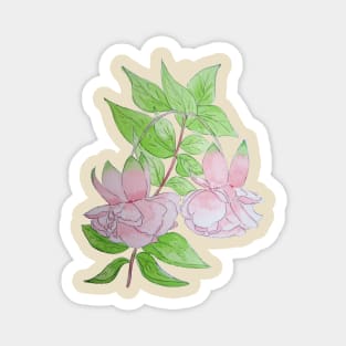 Pink fuchsia flowers with leaves floral Magnet