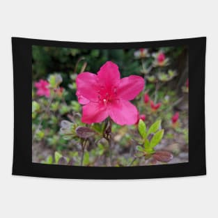 Pink Flower in Meadow 1 Tapestry