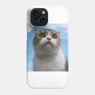 The chubby cute cats Phone Case