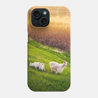 A goat with two little kids Phone Case