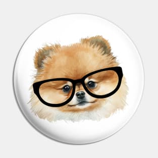 Cute  pomeranian dog with eye glasses Pin