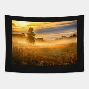 Morning Mist Over Country Road Tapestry