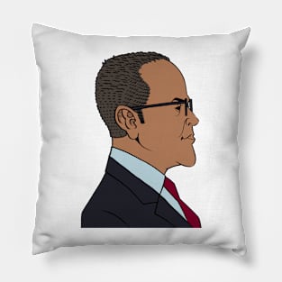 Will Hurd Pillow