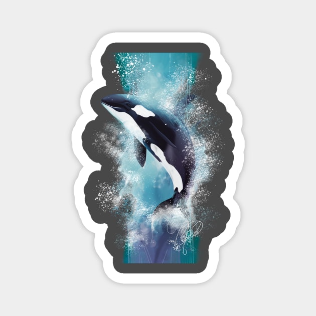 Orca Magnet by BYCOLERO