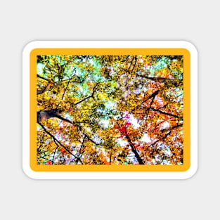 Colors of Fall Magnet