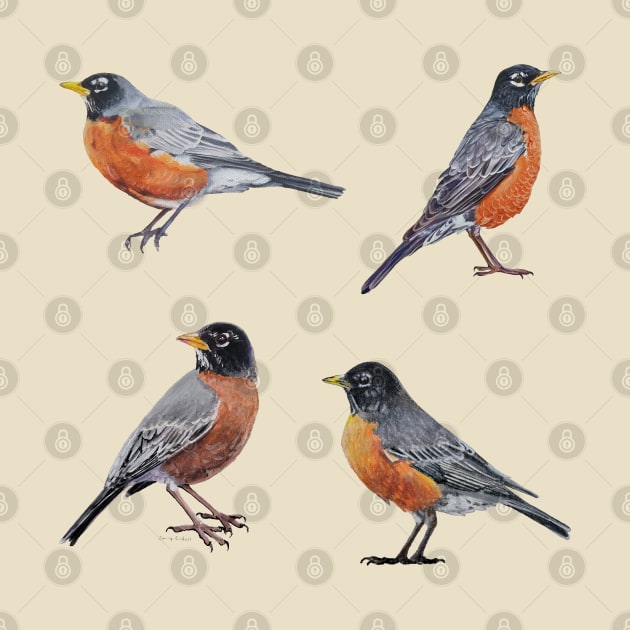 American Robin Set by EmilyBickell