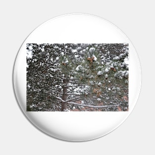 Pine dusted Pin