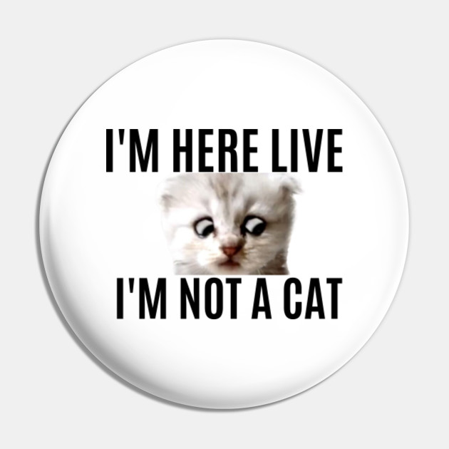 I M Here Live I M Not A Cat Zoom Meme Zoom Lawyer Judge Im Here Live Im Not A Cat Zoom Meme Pin Teepublic I M Here Live I M Not A Cat Zoom Meme Zoom Lawyer Judge Im Here Live Im Not A Cat Zoom Meme Pin Teepublic