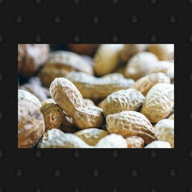 Peanuts in shell Photo art design by DesignIndex