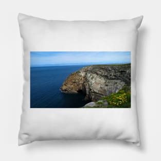 Channel Island National Park Santa Cruz Island Pillow