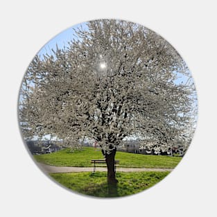 White Cherry Blossom Pin