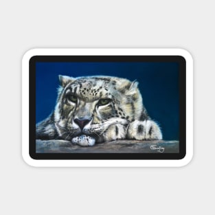 Snow Leopard Feeling Blue Magnet