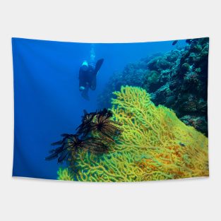 Alcyonacea Coral Tapestry