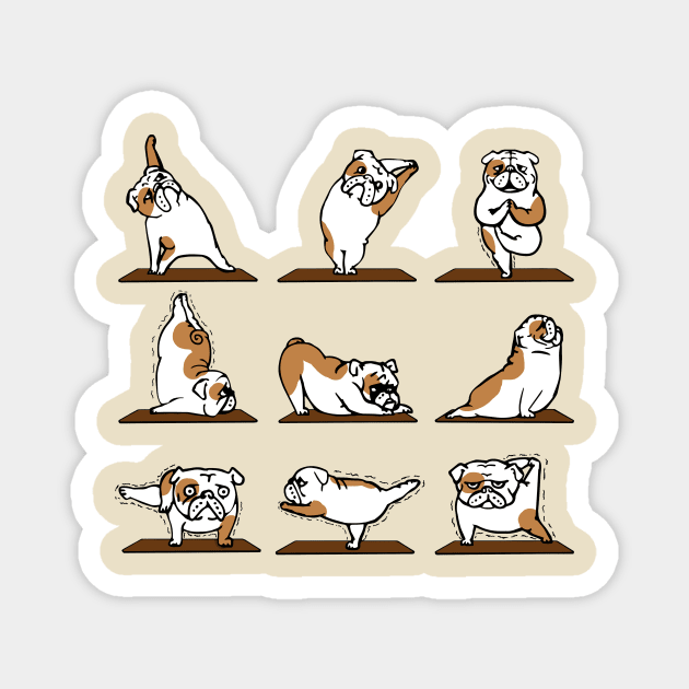 Funny bulldog yoga pose Magnet by MasutaroOracle