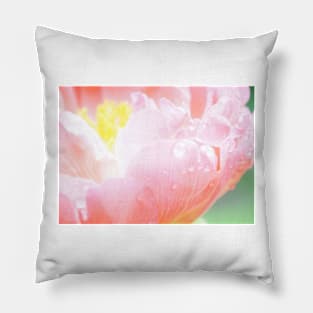 Soft Pink Peony Pillow