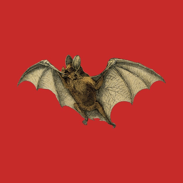 Flying Halloween Bat by RedThorThreads