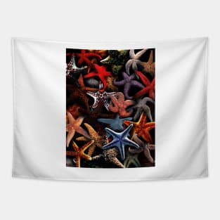 Starfish Tapestry