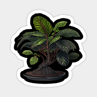 Calathea Bonsai Magnet