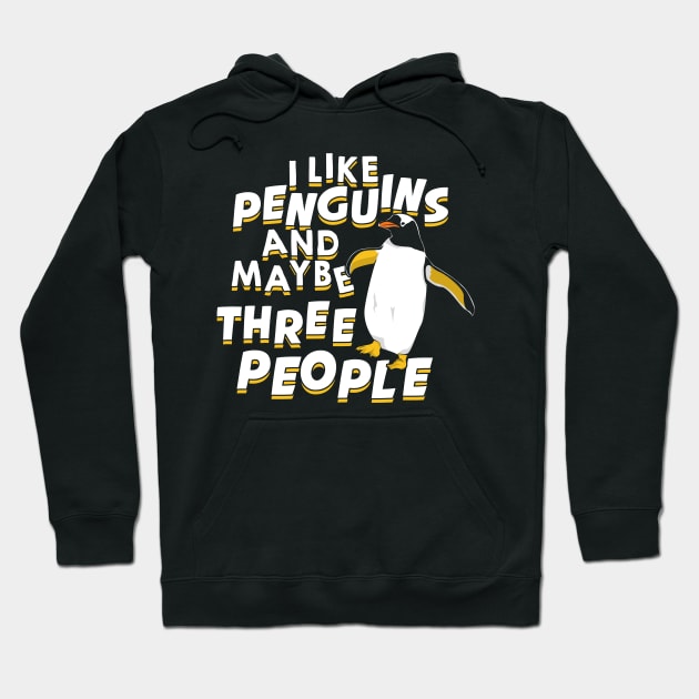 I Like Penguins & Maybe 3 People Funny Animal Lover T-Shirt I Like Penguins & Maybe 3 People Funny Animal Lover T-Shirt