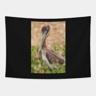 Brown Pelican Tapestry