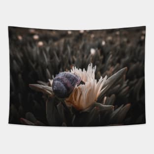 Snail Having Breakfast in Californian Yellow Flower Photo V2 Tapestry