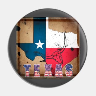 Texas State Pin