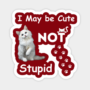 I am cute but not stupid cat swag love Magnet