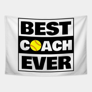 softball Tapestry