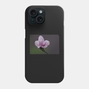 Close up of Pink Magnolia flowers in spring season. Phone Case