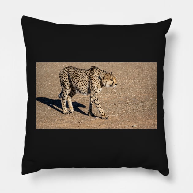 Cheetah walking. Pillow by sma1050