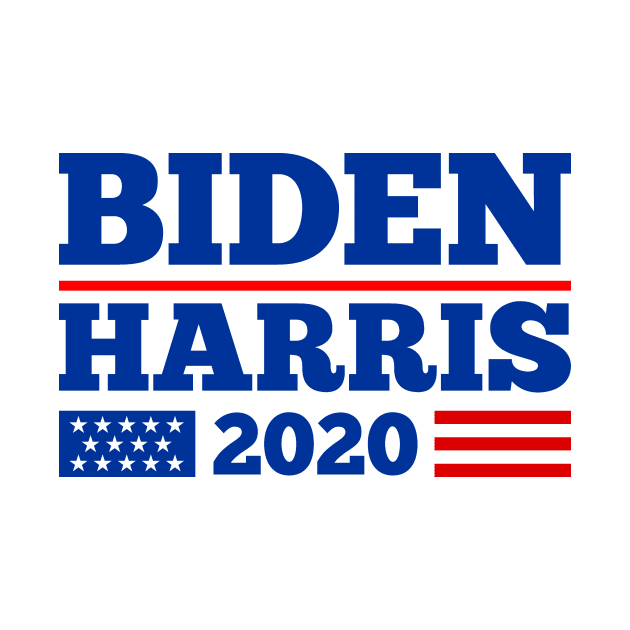 biden harris 2020 by night sometime