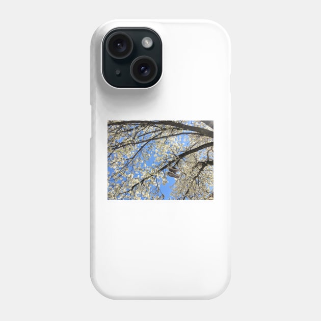 Brooklyn Blossoming Tree Phone Case by hannahehansen