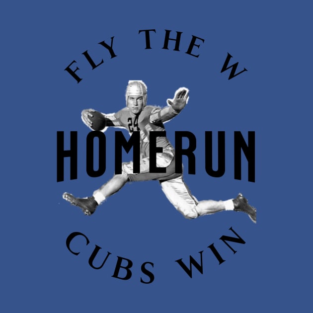 HOMERUN CUBS WIN by ryanmpete