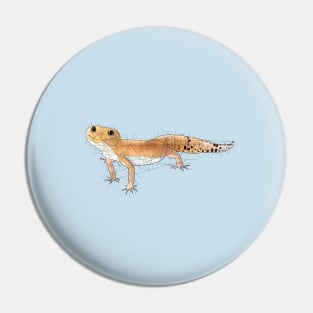 Geckos Pin