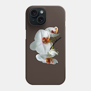 Orchids - White Orchids With Orange Center Phone Case