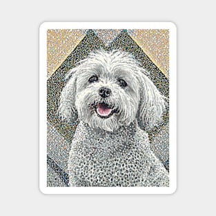 Dog Portrait - Maltese Magnet