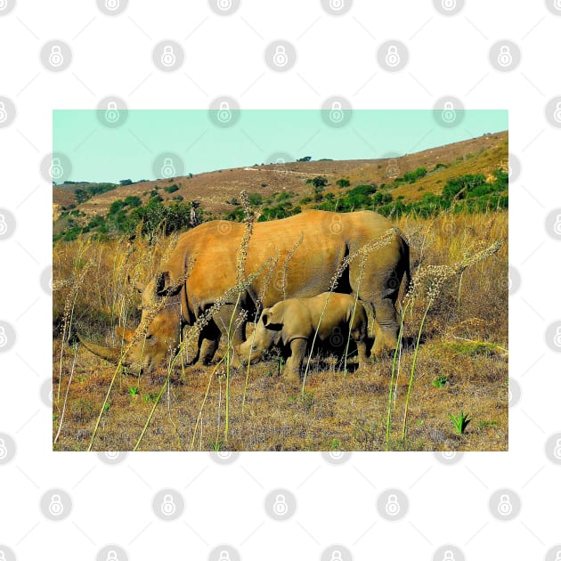 African Wildlife Photography Rhinoceros Reeds by PathblazerStudios